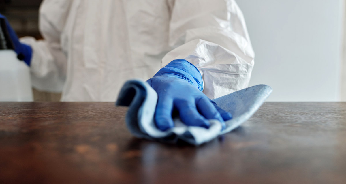 Pro cleaners in blue gloves wiping a surface