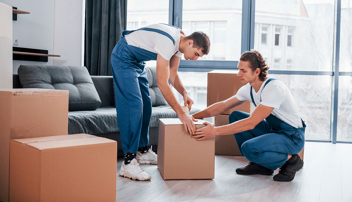 Packaging the box two young movers in blue uniform working indoors in the room
